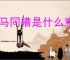 三马同槽是什么意思