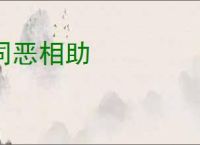 同恶相助