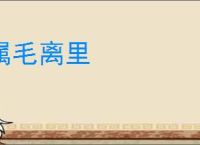 属毛离里
