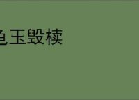 龟玉毁椟