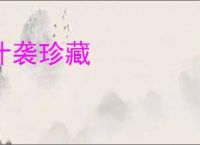 什袭珍藏