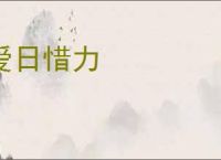 爱日惜力