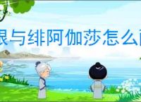 银与绯阿伽莎怎么配队,银与绯阿伽莎阵容推荐