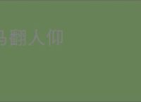 马翻人仰