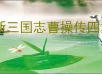 新三国志曹操传四象白虎第四关怎么过,新三国志曹操传四象白虎第四关阵容
