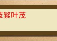 枝繁叶茂