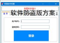 软件防盗版方案：保护开发者权益的必备措施