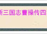新三国志曹操传四象白虎第三关怎么过,新三国志曹操传四象白虎第三关阵容