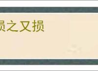 损之又损