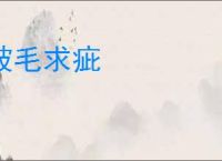 披毛求疵