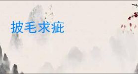 披毛求疵