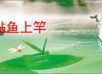 鲇鱼上竿