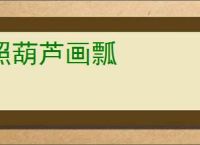 照葫芦画瓢