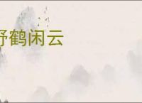 野鹤闲云