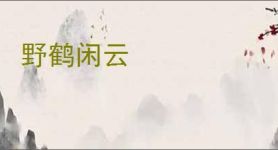 野鹤闲云