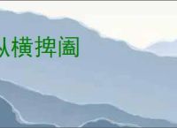 纵横捭阖
