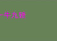 一牛九锁