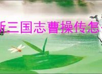 新三国志曹操传怎么过虎豹骑,新三国志曹操传虎豹骑关卡流程