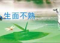 人生面不熟