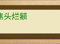焦头烂额