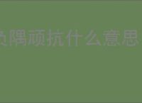 负隅顽抗什么意思
