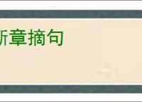 断章摘句