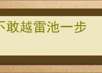 不敢越雷池一步