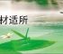 适材适所