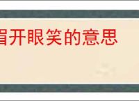眉开眼笑的意思