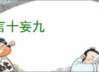 言十妄九