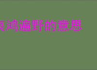 哀鸿遍野的意思