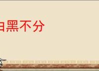 白黑不分