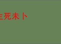 生死未卜