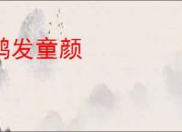 鹤发童颜