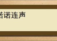 诺诺连声