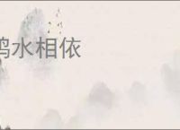 鸥水相依