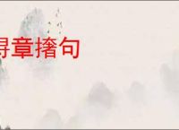 挦章撦句