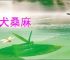 鸡犬桑麻