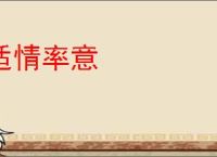 适情率意