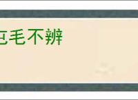 屯毛不辨