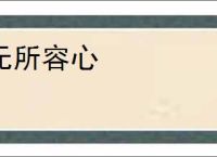 无所容心