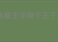 赵襄王学御于王子期
