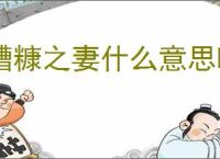 糟糠之妻什么意思啊?