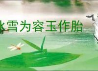冰雪为容玉作胎