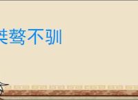 桀骜不驯