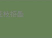 花枝招飍
