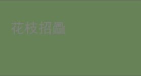 花枝招飍