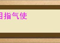 目指气使