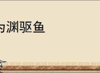 为渊驱鱼