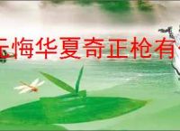 无悔华夏奇正枪有什么技能,无悔华夏奇正枪怎么样
